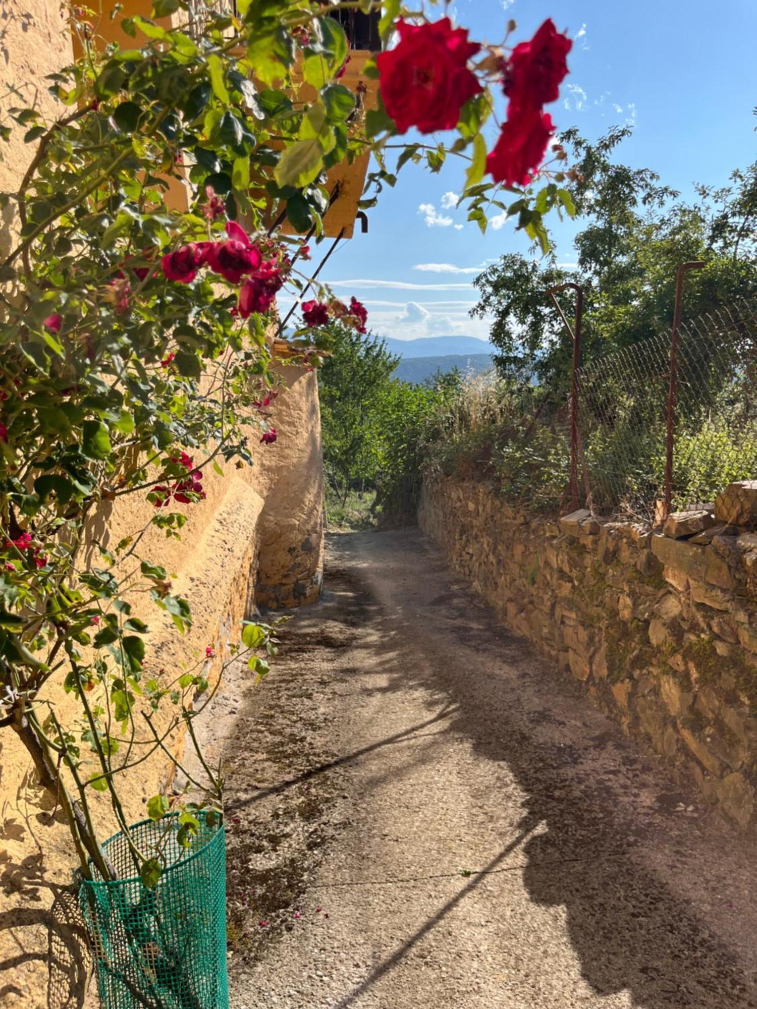 הוילה Riego de Ambros La Casina De Gelo מראה חיצוני תמונה
